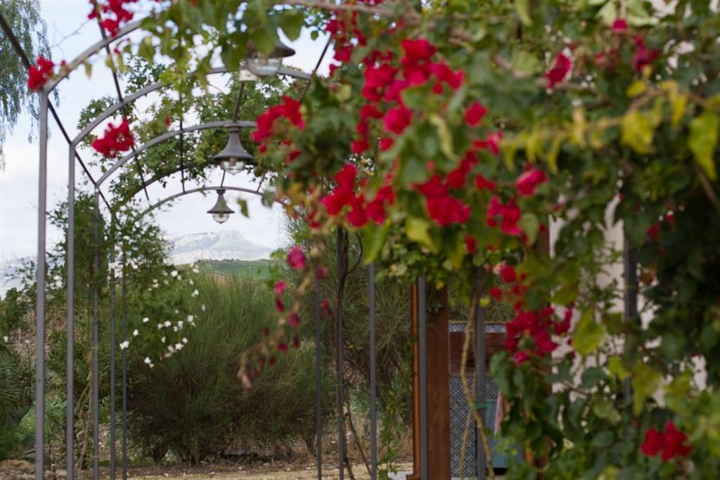 Agriturismo Baglio Donna Santa Dattilo Exteriér fotografie